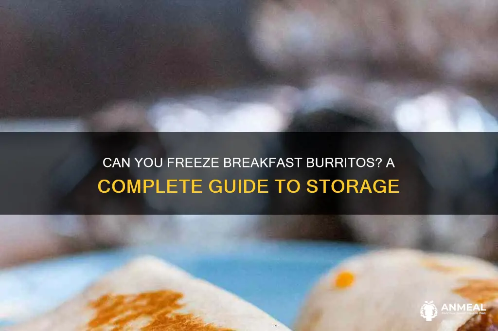 do breakfast burritos freeze well