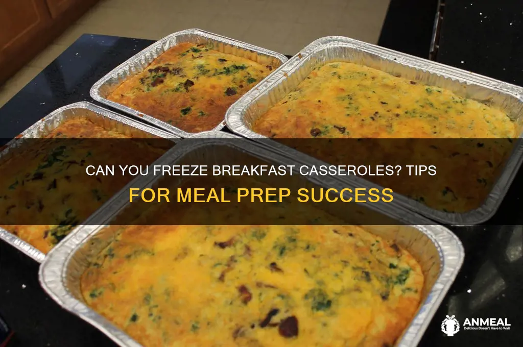 do breakfast casseroles freeze well