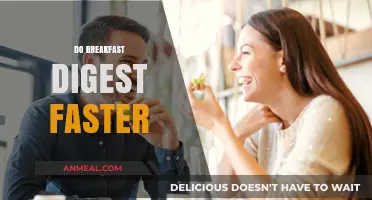 Does Breakfast Digest Faster? Unlocking Morning Meal Metabolism Myths