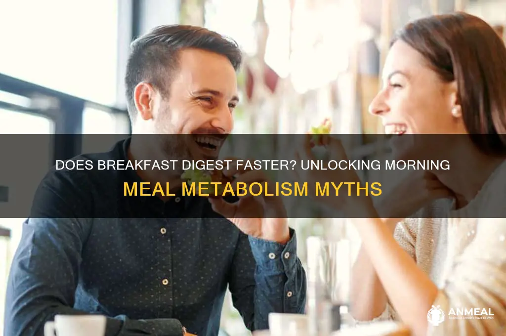 do breakfast digest faster