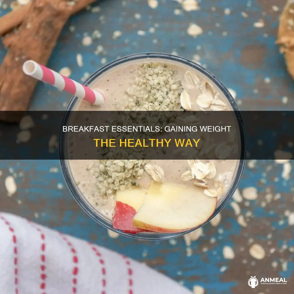 do breakfast essentials help gain weight