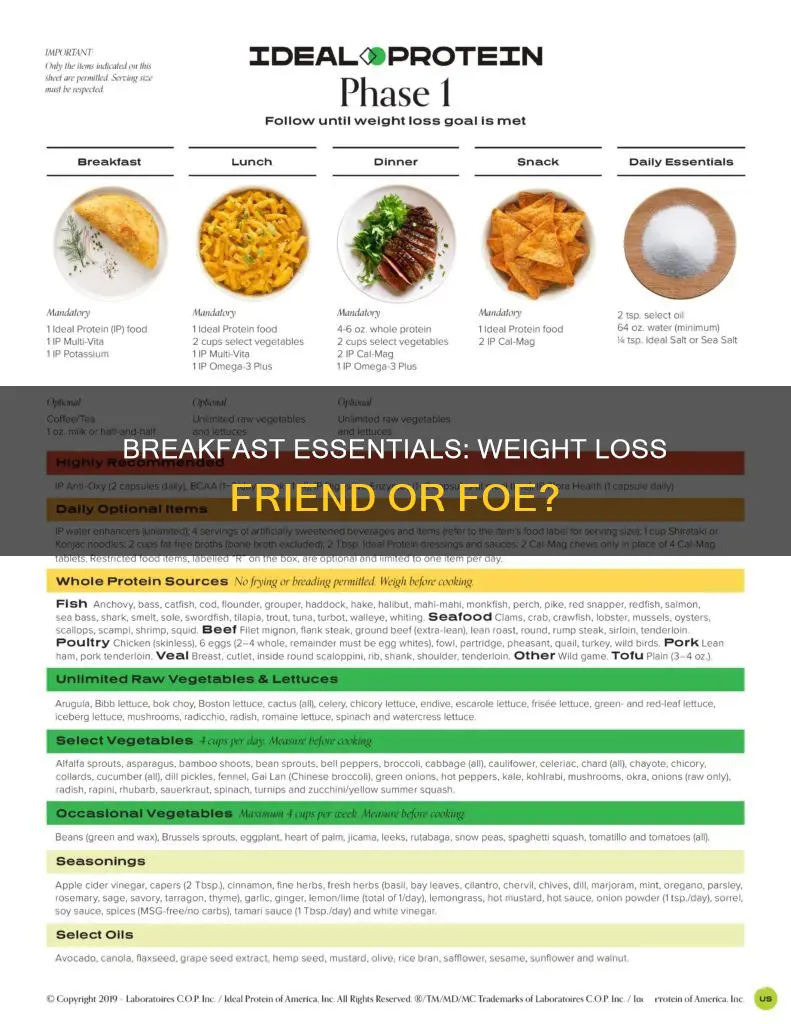 do breakfast essentials help you lose weight