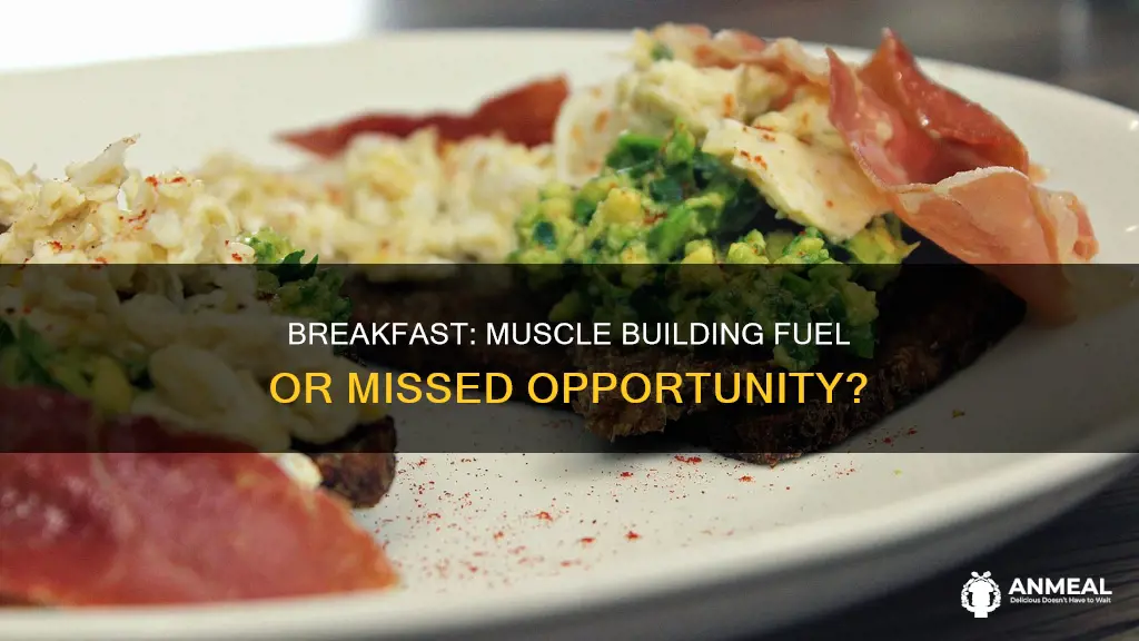 do breakfast important for build muscle