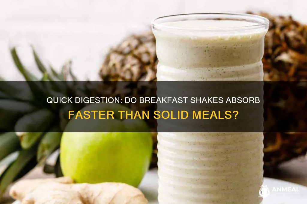 do breakfast shakes digest quickly