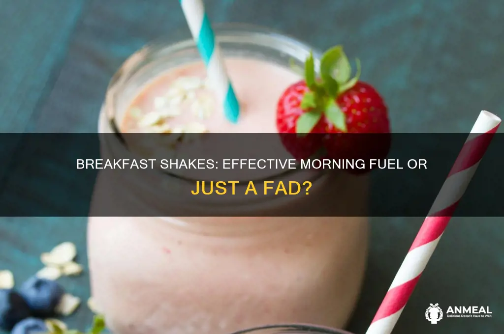 do breakfast shakes work