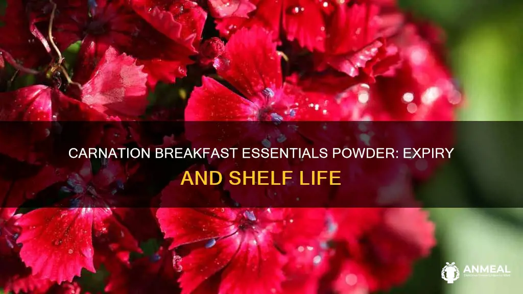 do carnation breakfast essentials powder expire