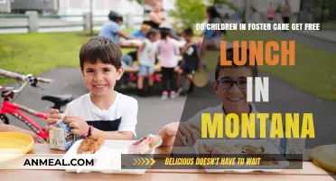 Foster Care and Free Lunch in Montana: What You Need to Know
