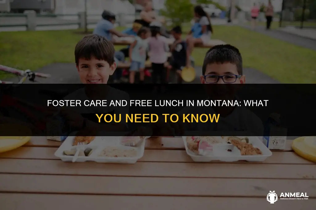 do children in foster care get free lunch in montana