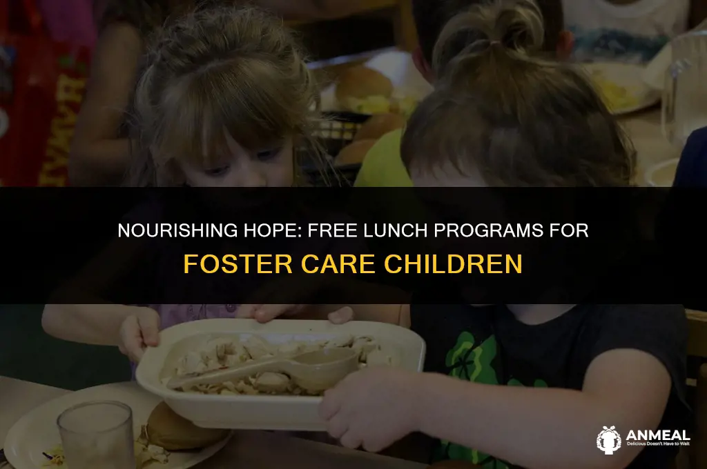 do children in foster care get free lunch