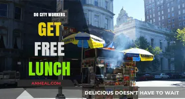Do City Workers Get Free Lunch? Exploring Municipal Perks