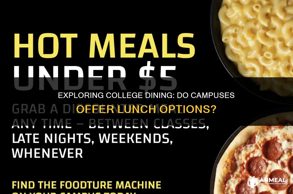 do colleges have lunch