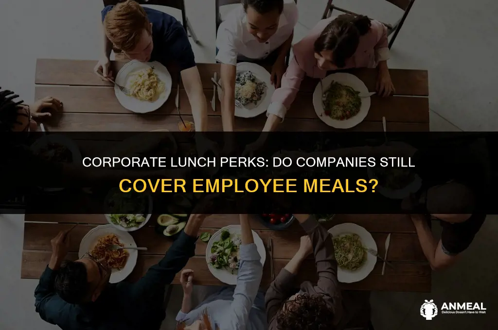 do companies pay for lunch