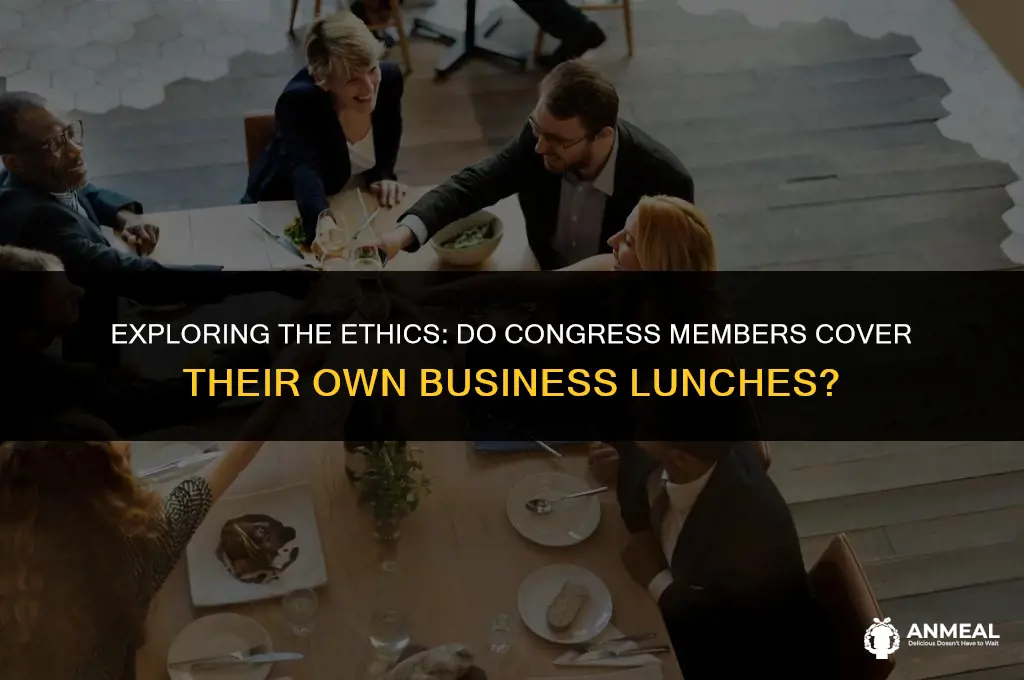 do congress people pay for business lunches