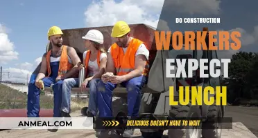 Lunch Break Expectations: Insights from Construction Workers