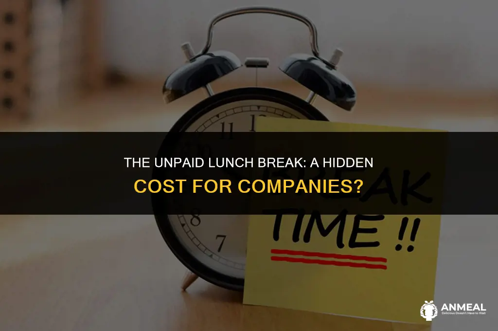do copmanies not pay for 30 mins lunch