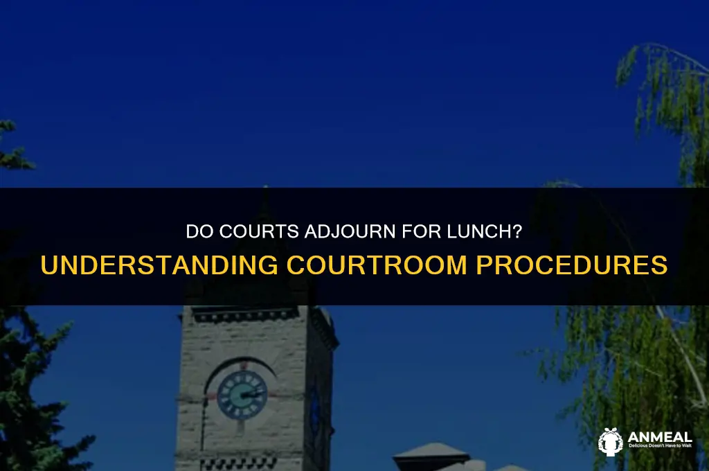do courts adjourn for lunch