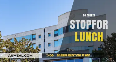 Do Courts Take a Lunch Break? Understanding Judicial Schedules