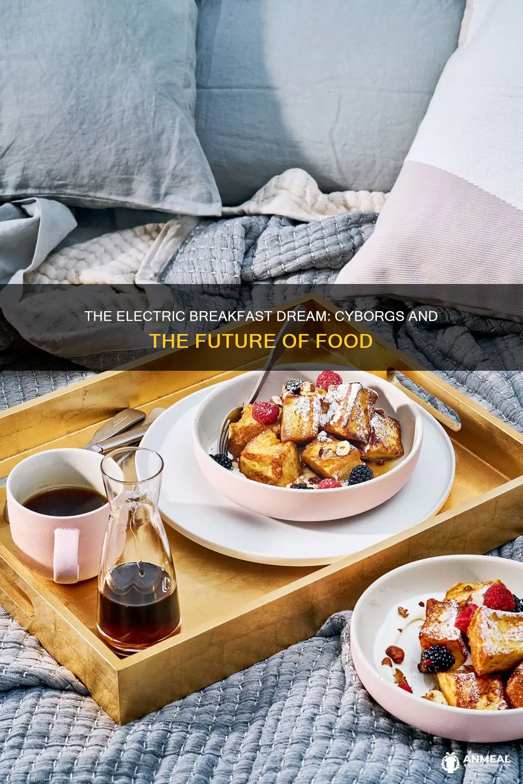 do cyborgs dream of electric breakfast
