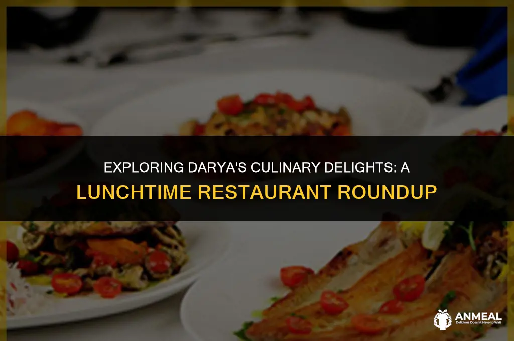 do darya restaurants for lunch