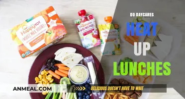 Do Daycares Heat Up Lunches? A Parent's Guide to Safe Meal Practices