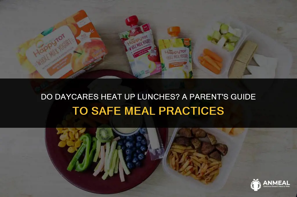 do daycares heat up lunches