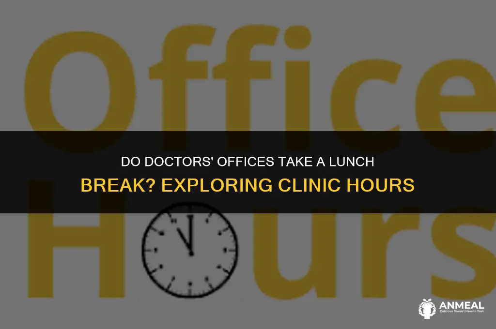 do dcotors offices take off for lunch