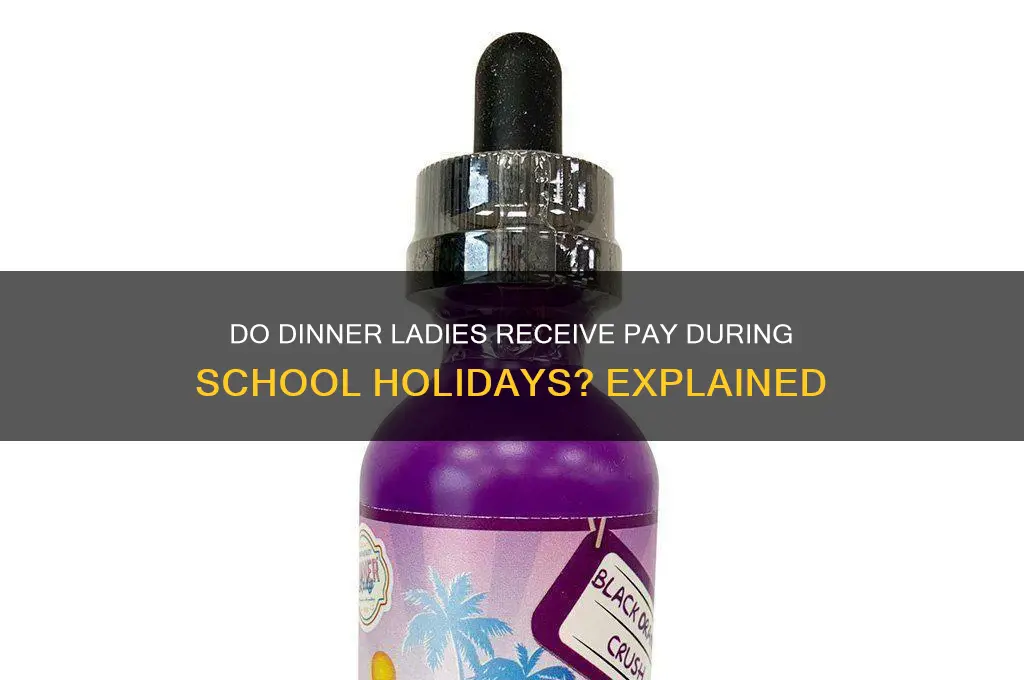 do dinner ladies get paid school holidays