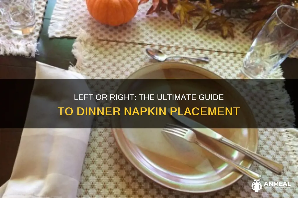 do dinner napkins go on the left or right