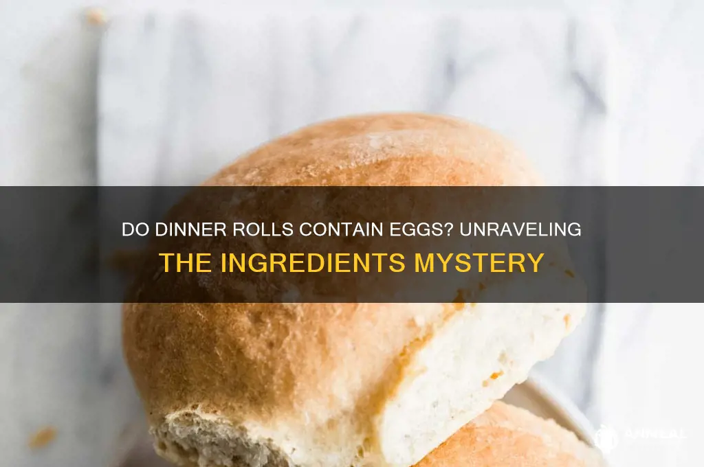 do dinner rolls contain eggs