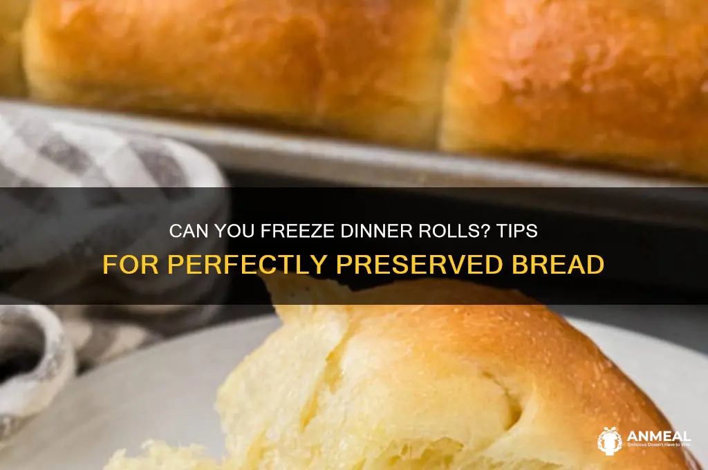 do dinner rolls freeze well