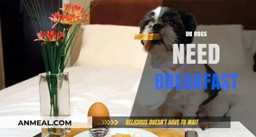 Should Dogs Eat Breakfast? Understanding Your Pet's Morning Meal Needs