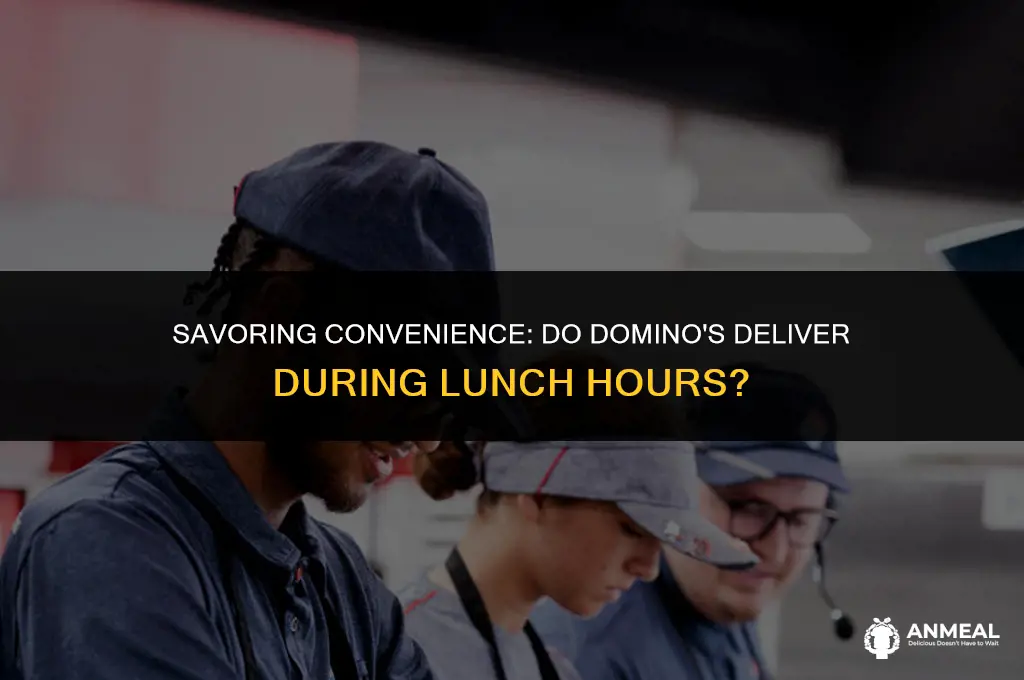 do dominos deliver at lunch