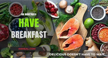 Do Douetrees Have Breakfast? Exploring Their Morning Habits and Diet