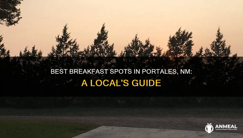 do drop in portales nm breakfast