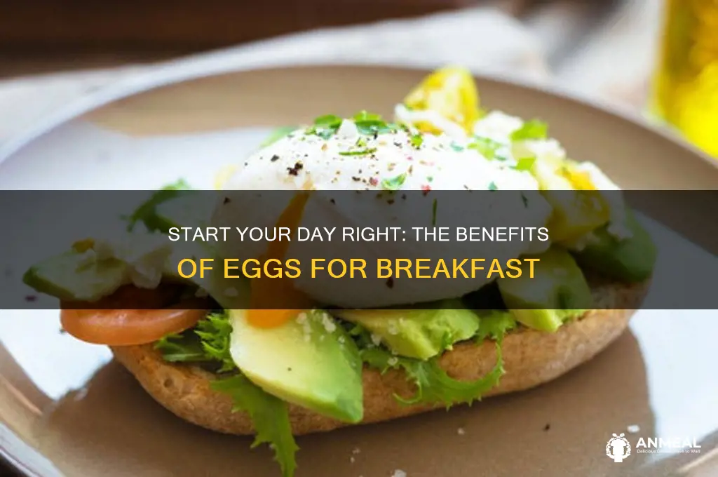 do eggs breakfast