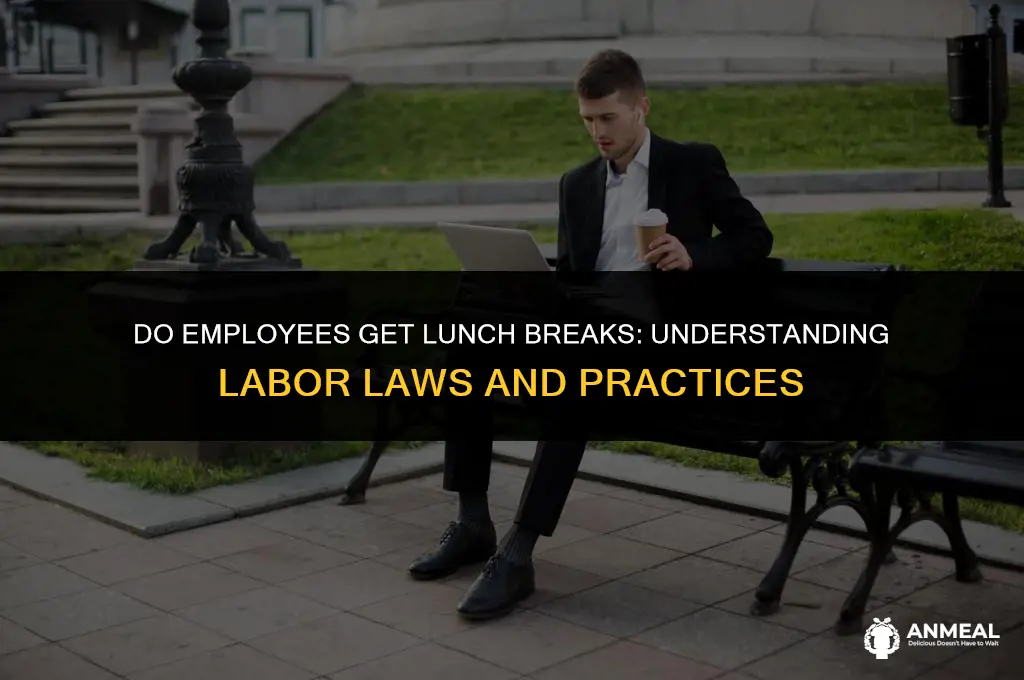 do employe get lunch 5 hour