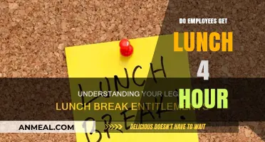 Lunch Break Clarity: Understanding Employee Entitlements for Midday Meals