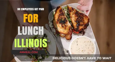 Understanding Illinois Lunch Break Pay Laws for Employees