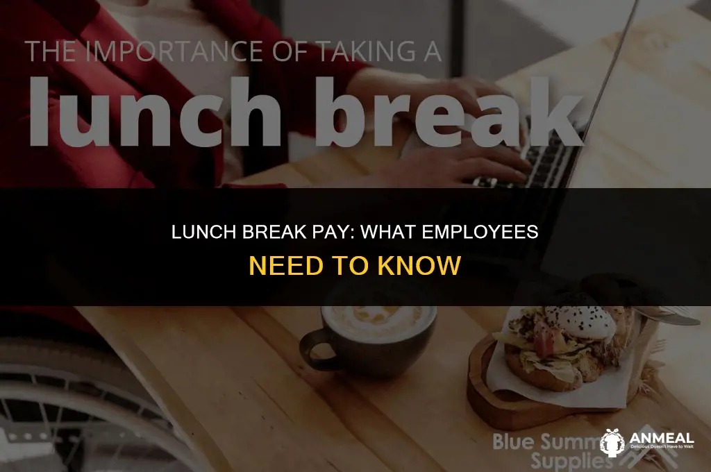 do employees get paid for lunch