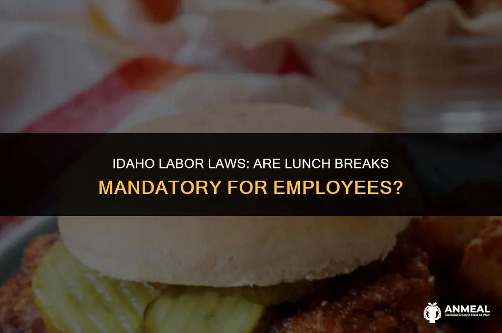do employers have to give you lunch idaho