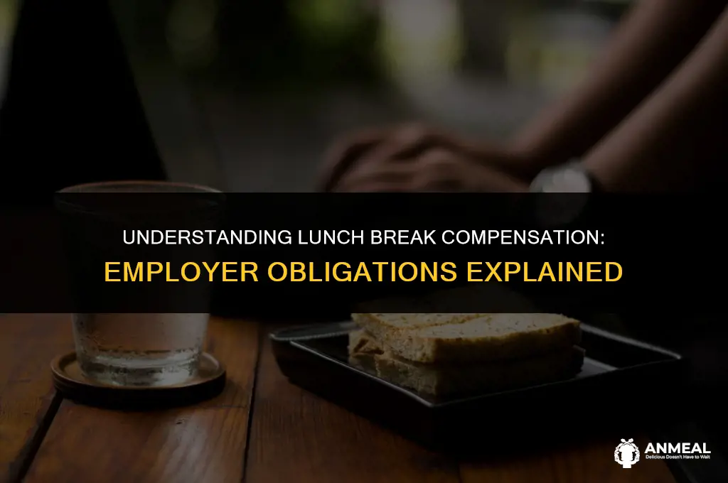 do employers have to pay for 30 minute lunch