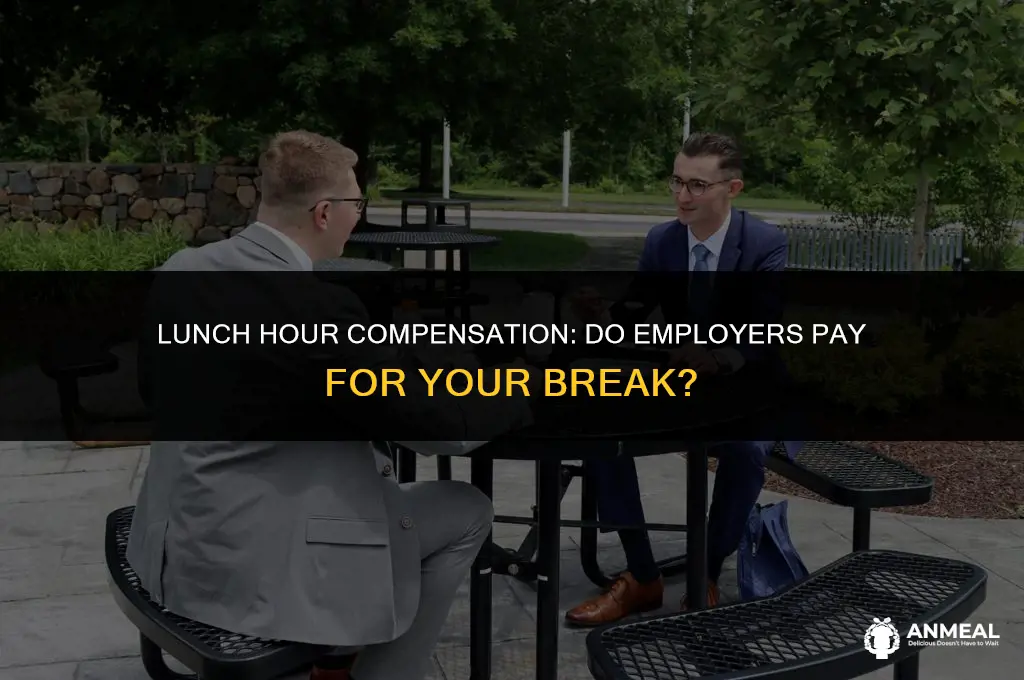 do employers pay for lunch hour