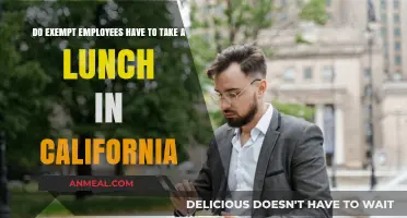 California Labor Laws: Lunch Breaks for Exempt Employees Explained