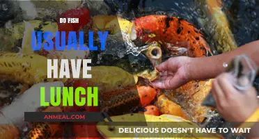Do Fish Have Lunch? Exploring the Eating Habits of Aquatic Life