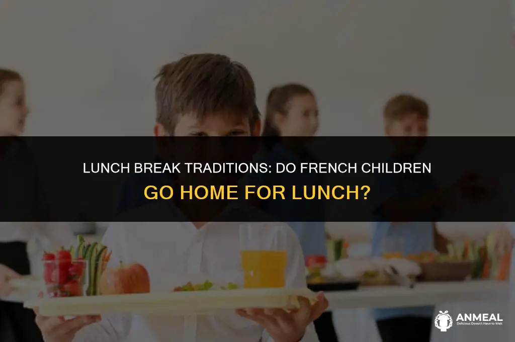 do french children go home for lunch