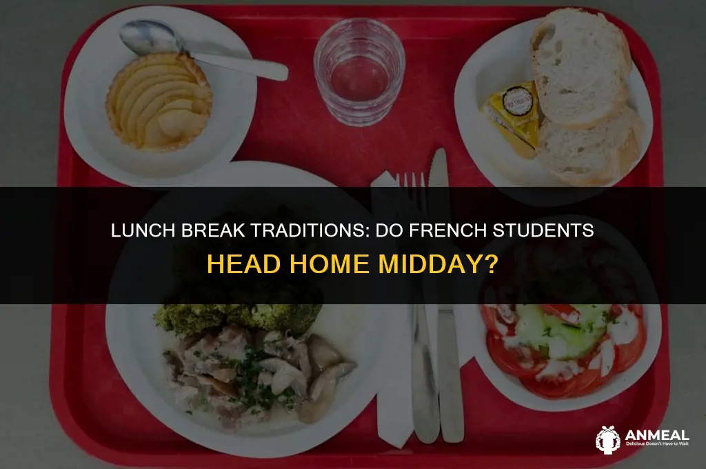 do french students go home for lunch