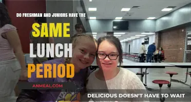 Lunch Periods for Freshmen and Juniors: A Comparative Insight