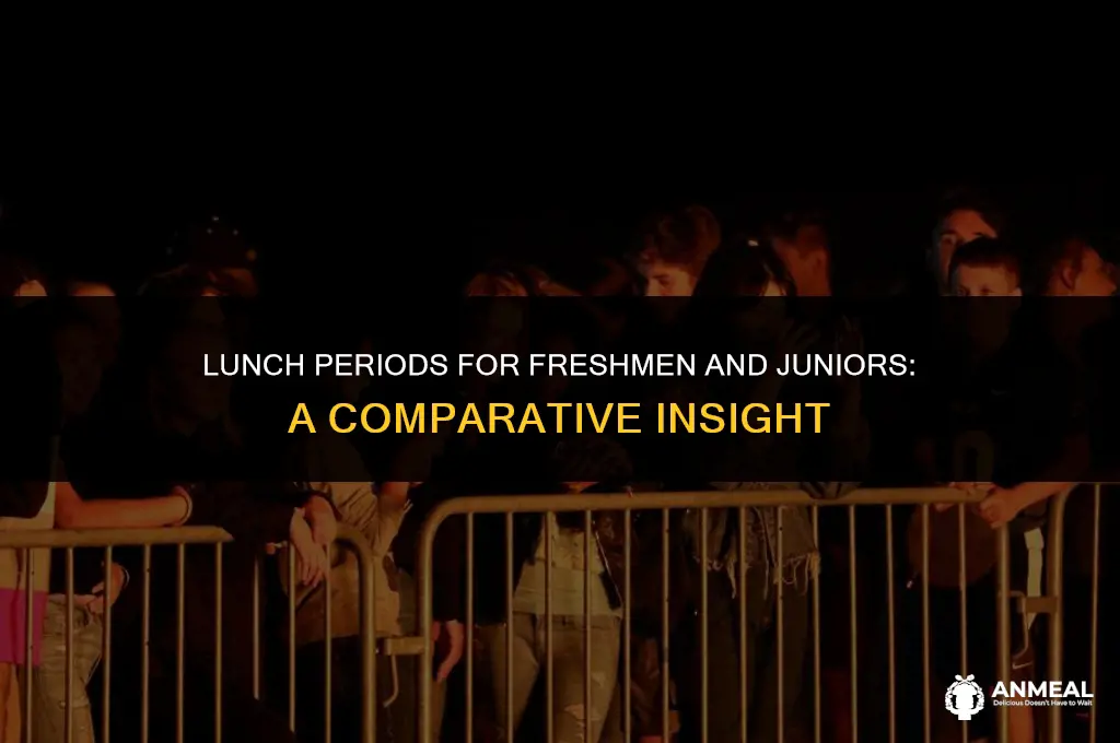 do freshman and juniors have the same lunch period