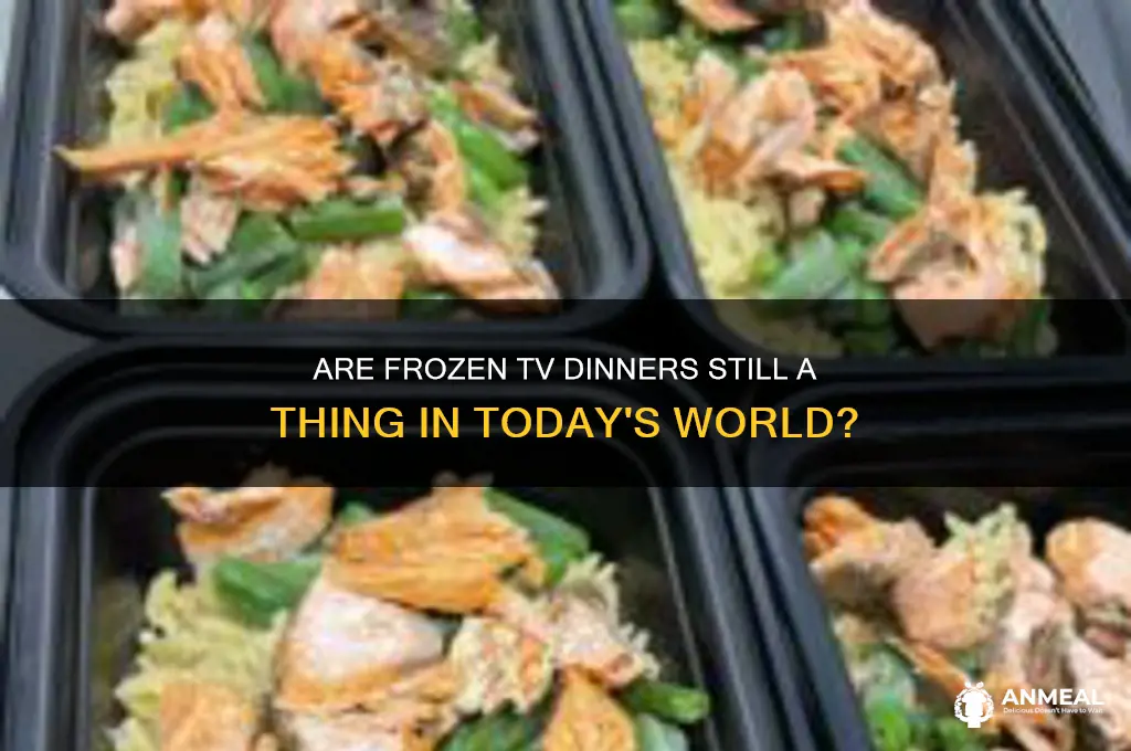 do frozen tv dinner still exist