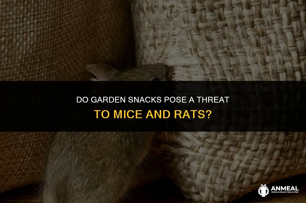 do garden snacks eat mice and rats